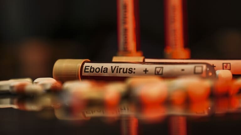 Kongo’da Ebola alarmı: Vakalar 550’ye çıktı, sınır hattı geriliyor
